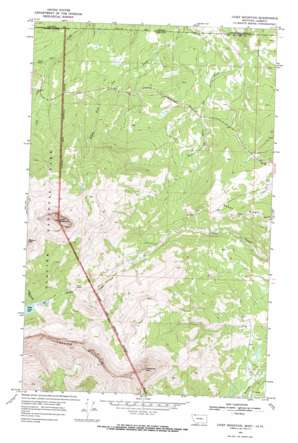 Chief Mountain USGS topographic map 48113h5