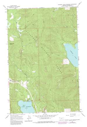 Pleasant Valley Mountain USGS topographic map 48114b6