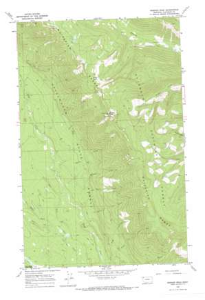 Werner Peak topo map
