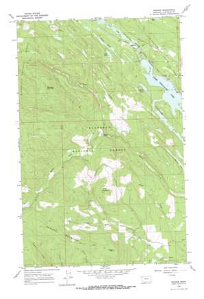Radnor USGS topographic map 48114e6