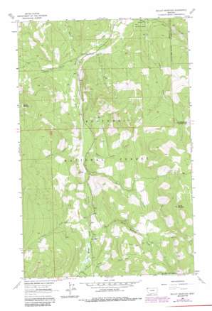 Skillet Mountain USGS topographic map 48114e8
