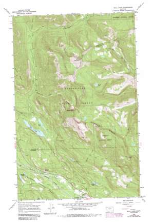 Bull Lake USGS topographic map 48114f6