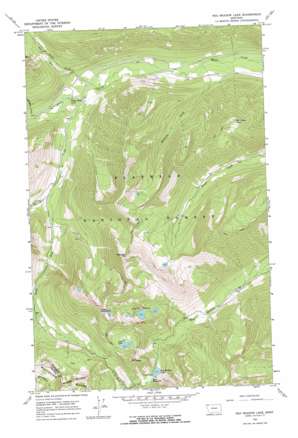 Red Meadow Lake topo map