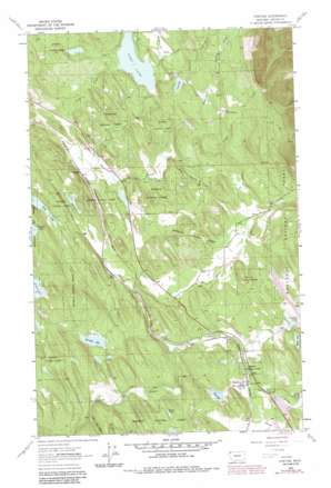 Fortine USGS topographic map 48114g8
