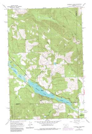 Thompson Lakes USGS topographic map 48115a1