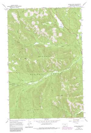 Barren Peak USGS topographic map 48115a4