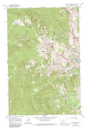 Elephant Peak USGS topographic map 48115a6