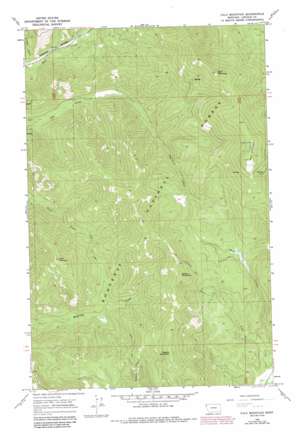 Calx Mountain USGS topographic map 48115b2