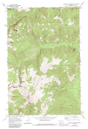 Sawtooth Mountain topo map