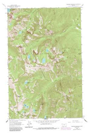 Treasure Mountain USGS topographic map 48115c6