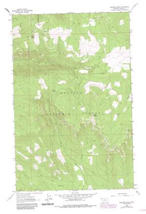 Warland Peak USGS topographic map 48115d1