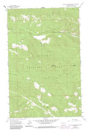 Cripple Horse Mountain USGS topographic map 48115d2