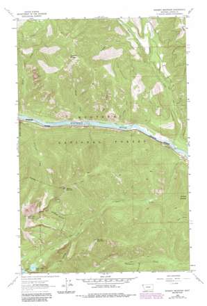 Scenery Mountain USGS topographic map 48115d6