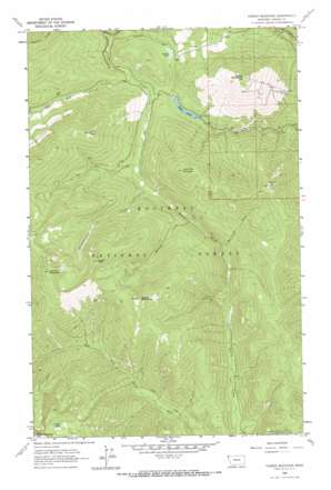 Turner Mountain topo map