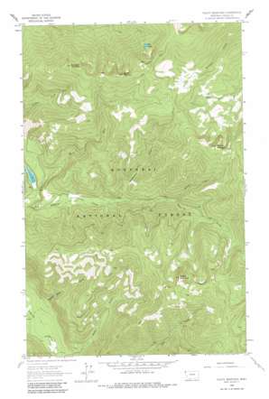 Pulpit Mountain topo map