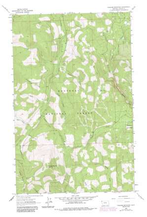 Pinkham Mountain USGS topographic map 48115f1