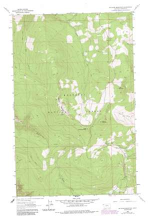 McGuire Mountain USGS topographic map 48115f2