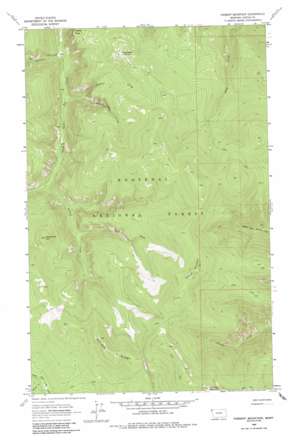 Parsnip Mountain USGS topographic map 48115f4
