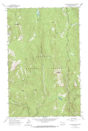 Flatiron Mountain USGS topographic map 48115f6