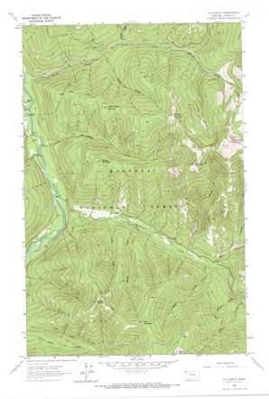 Sylvanite USGS topographic map 48115f7