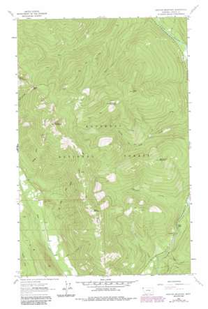 Newton Mountain topo map