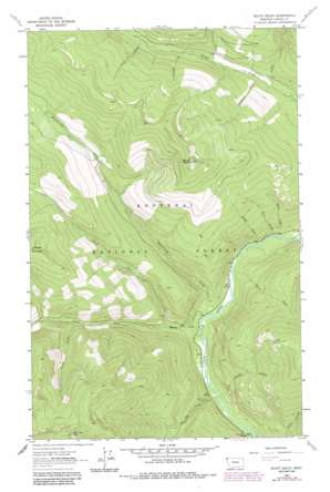 Mount Baldy USGS topographic map 48115g8