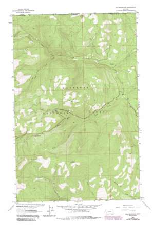 Red Mountain USGS topographic map 48115h3
