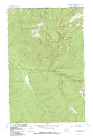 Robinson Mountain topo map