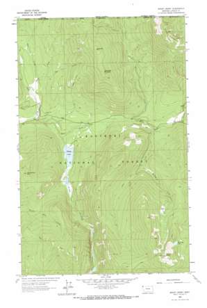 Mount Henry topo map