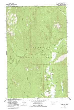 Bonnet Top USGS topographic map 48115h6