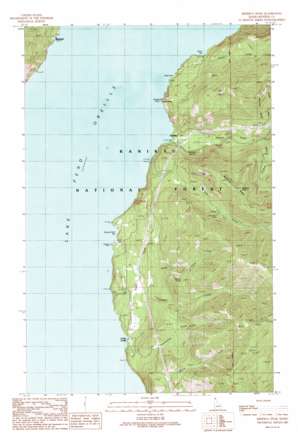 Minerva Peak USGS topographic map 48116a4