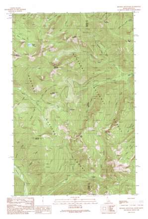 Benning Mountain USGS topographic map 48116c1