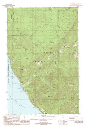 Trout Peak USGS topographic map 48116c3