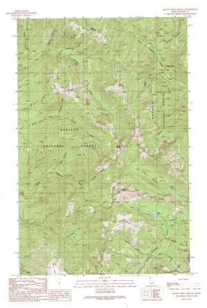 Mount Pend Oreille USGS topographic map 48116d2
