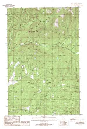 Wylie Knob USGS topographic map 48116d3