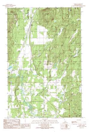Elmira USGS topographic map 48116d4