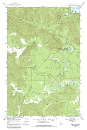 Outlet Bay USGS topographic map 48116d8