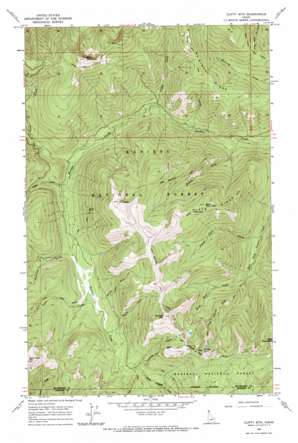 Clifty Mountain USGS topographic map 48116e2