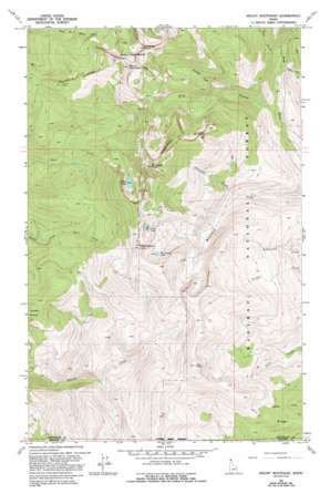 Mount Roothaan USGS topographic map 48116e6