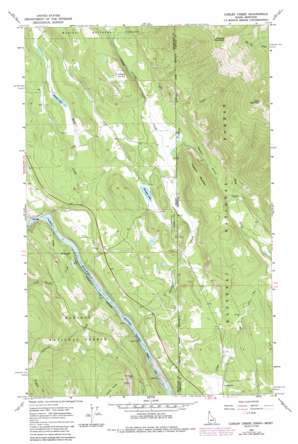 Curley Creek topo map