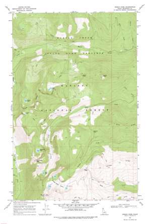 Roman Nose USGS topographic map 48116f5