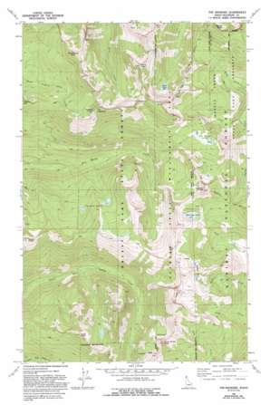 The Wigwams USGS topographic map 48116f6