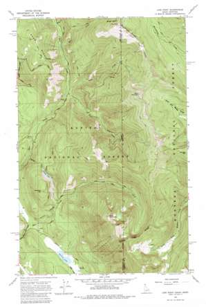 Line Point topo map