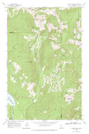 Caribou Creek USGS topographic map 48116g7