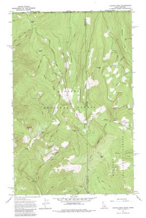 Canuck Peak USGS topographic map 48116h1