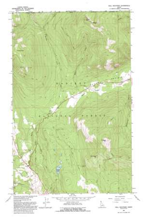Hall Mountain USGS topographic map 48116h3