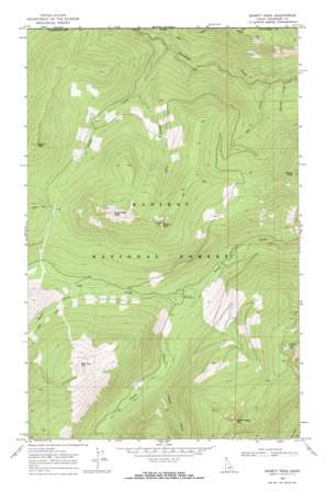 Shorty Peak USGS topographic map 48116h6