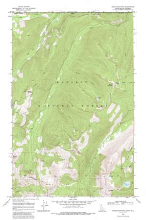 Grass Mountain USGS topographic map 48116h7