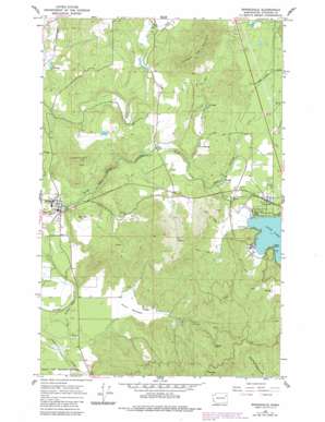 Springdale USGS topographic map 48117a6