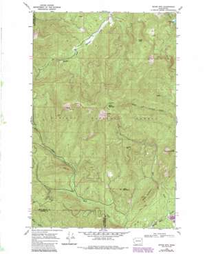 Boyer Mountain USGS topographic map 48117b4
